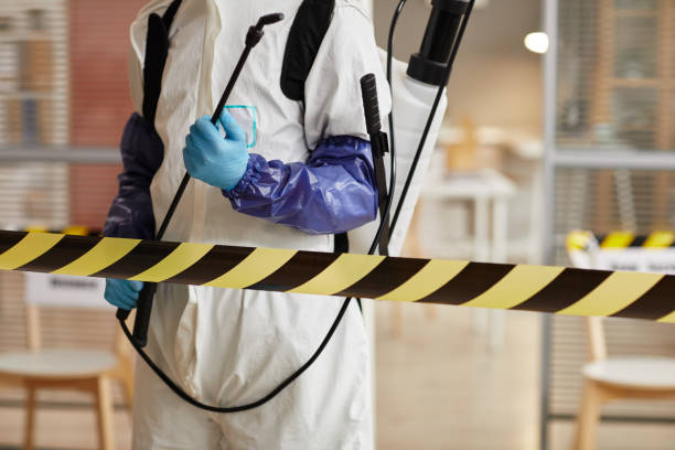 Professional Odor Removal technician working in Leopolis, WI